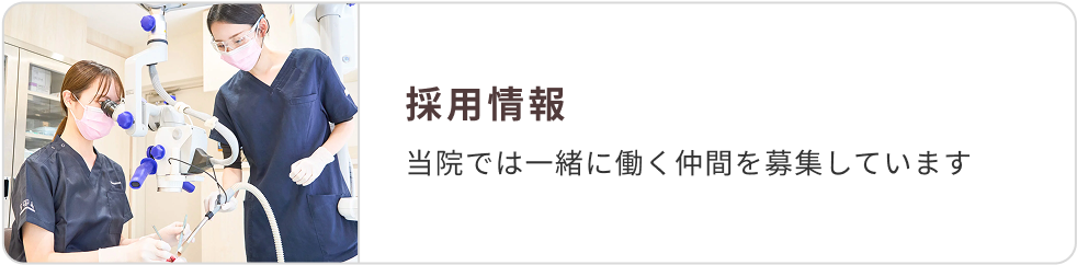 採用情報